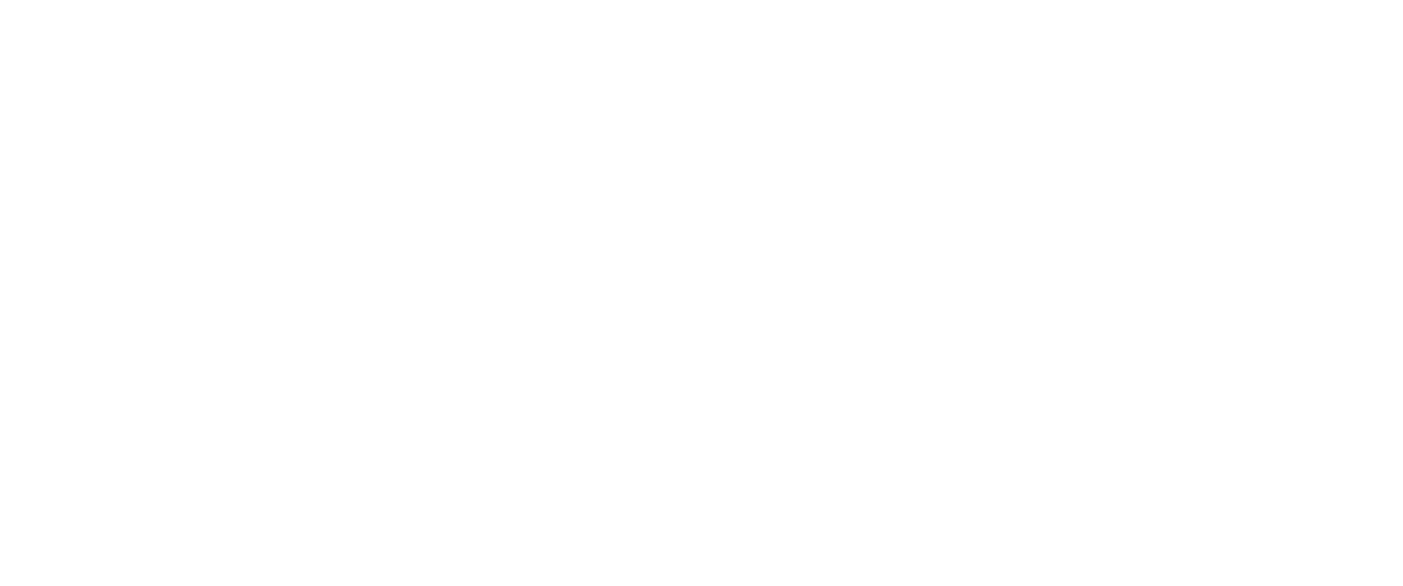 ivpluss