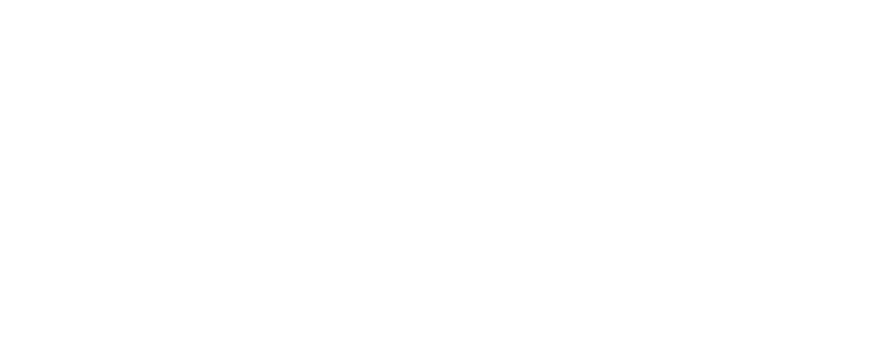 ivpluss